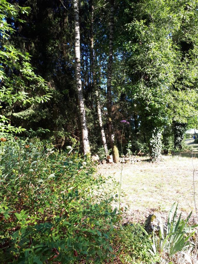 Gite De Lac Tranquille Plaud Esterno foto