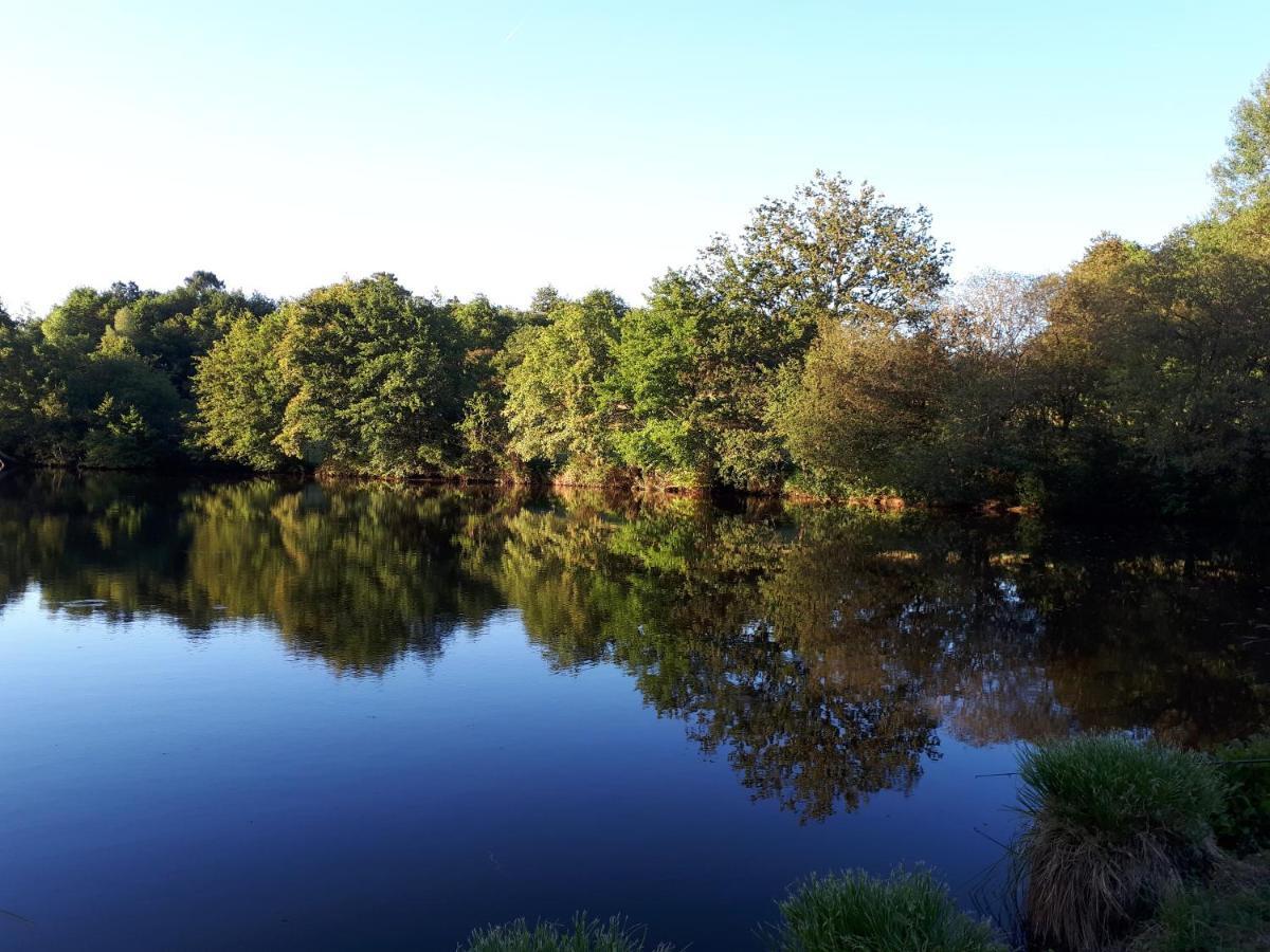Gite De Lac Tranquille Plaud Esterno foto